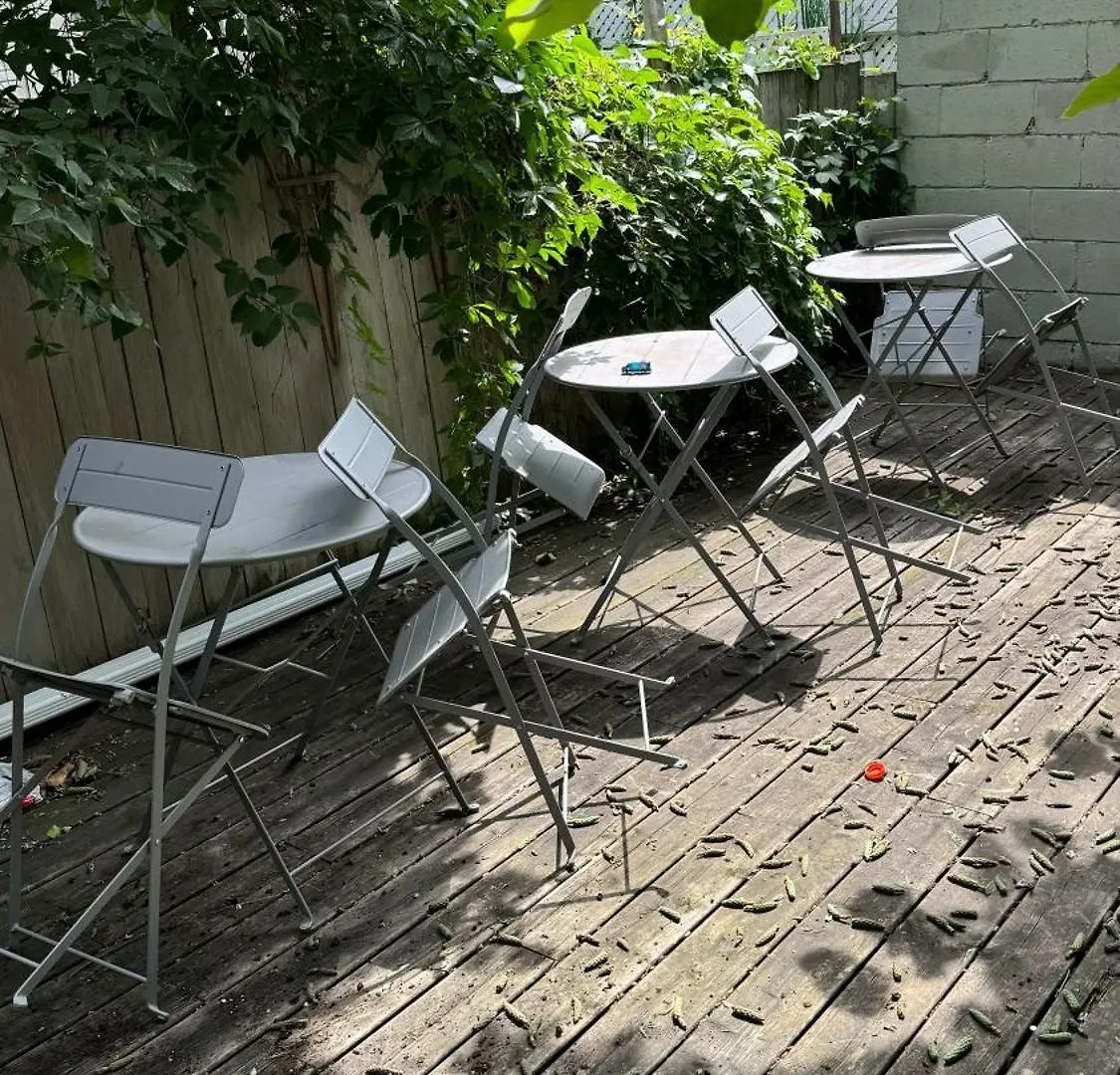 Modern 1Br Condo - Near Trinity Bellwoods Park Toronto 0*,